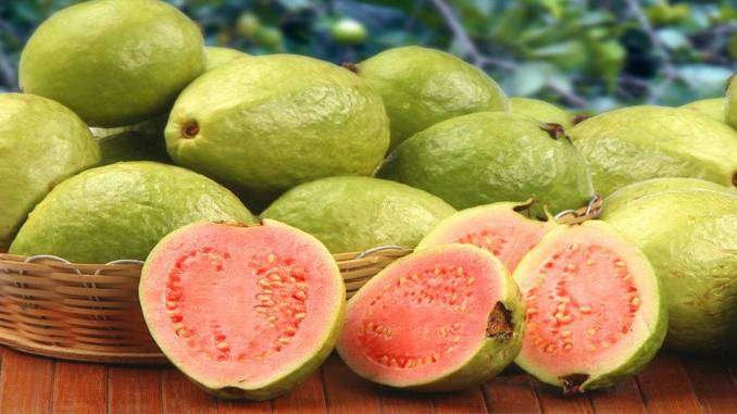 health-benefits-of-guava-fruit
