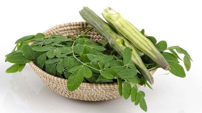 health-benefits-eating-drumstick-leaves