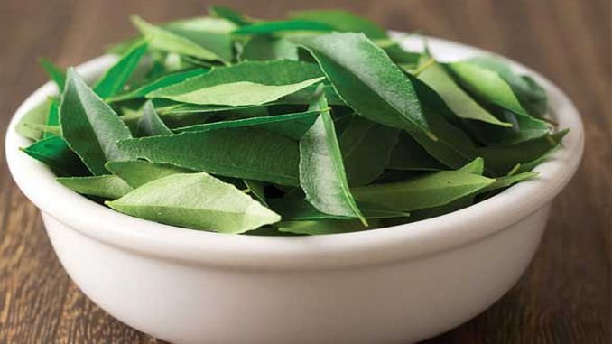 health-benefits-of-curry-leaves
