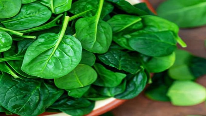 health benefits of spinach leaves